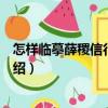 怎樣臨摹薛稷信行禪師碑（關于怎樣臨摹薛稷信行禪師碑介紹）