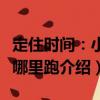 定住時間：小妞哪里跑（關于定住時間：小妞哪里跑介紹）