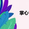 掌心雷（關于掌心雷簡介）