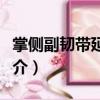 掌側副韌帶延長術（關于掌側副韌帶延長術簡介）
