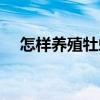 怎樣養殖牡蠣（關于怎樣養殖牡蠣介紹）