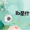 lb是什么重量單位（lb的簡述）
