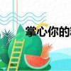 掌心你的糖（關于掌心你的糖簡介）