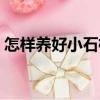 怎樣養好小石榴（關于怎樣養好小石榴介紹）