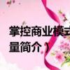掌控商業模式的力量（關于掌控商業模式的力量簡介）