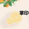 掌印使（關于掌印使簡介）