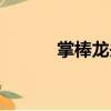 掌棒龍頭（關于掌棒龍頭簡介）