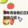 那年青春我們正好大結局是什么（那年青春我們正好大結局劇情介紹）