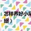 怎樣養好小尾寒羊（關于怎樣養好小尾寒羊介紹）