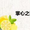 掌心之痛（關于掌心之痛簡介）