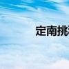定南挑積（關于定南挑積介紹）