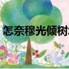 怎奈穆光傾樹城（關于怎奈穆光傾樹城介紹）