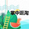 掌中逛淘寶（關于掌中逛淘寶簡介）