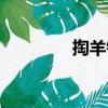 掏羊鍋（關于掏羊鍋簡介）