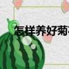 怎樣養好菊花（關于怎樣養好菊花介紹）