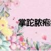 掌跎膿皰病（關于掌跎膿皰病簡介）