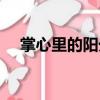 掌心里的陽光（關于掌心里的陽光簡介）