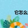 它怎么組詞（它應該怎么組詞）