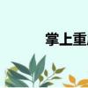 掌上重慶（關于掌上重慶簡介）