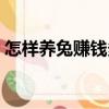 怎樣養兔賺錢多（關于怎樣養兔賺錢多介紹）