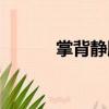 掌背靜脈（關于掌背靜脈簡介）