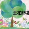 王柏林扮演者（王柏林是誰演的）