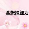 金蟾抱鯉為什么（出現金蟾抱鯉的原因）