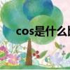 cos是什么比什么（深入了解三角函數）