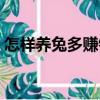 怎樣養兔多賺錢（關于怎樣養兔多賺錢介紹）