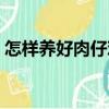 怎樣養好肉仔雞（關于怎樣養好肉仔雞介紹）