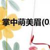 掌中萌美眉(03)（關于掌中萌美眉(03)簡介）