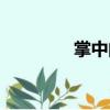 掌中閱（關于掌中閱簡介）