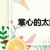 掌心的太陽（關于掌心的太陽簡介）