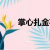 掌心扎金花（關于掌心扎金花簡介）