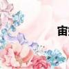 宙始（關于宙始介紹）