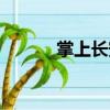 掌上長安（關于掌上長安簡介）