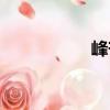 峰芒（關于峰芒簡介）