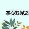 掌心緊握之物（關于掌心緊握之物簡介）