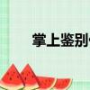 掌上鑒別儀（關于掌上鑒別儀簡介）