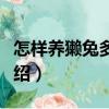 怎樣養獺兔多賺錢（關于怎樣養獺兔多賺錢介紹）