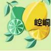 崆峒印（關于崆峒印簡介）