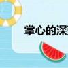 掌心的深藍（關于掌心的深藍簡介）