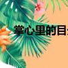 掌心里的目光（關于掌心里的目光簡介）