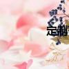 定制范（關于定制范介紹）