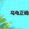 烏龜正確的飼養方法（如何養烏龜）