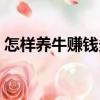 怎樣養牛賺錢多（關于怎樣養牛賺錢多介紹）