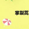 掌裂蒿系（關于掌裂蒿系簡介）