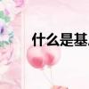 什么是基尼系數（基尼系數的定義）