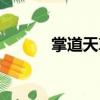 掌道天尊（關于掌道天尊簡介）