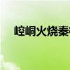 崆峒火燒秦檜（關于崆峒火燒秦檜簡介）